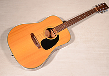 Martin ’75 D-18